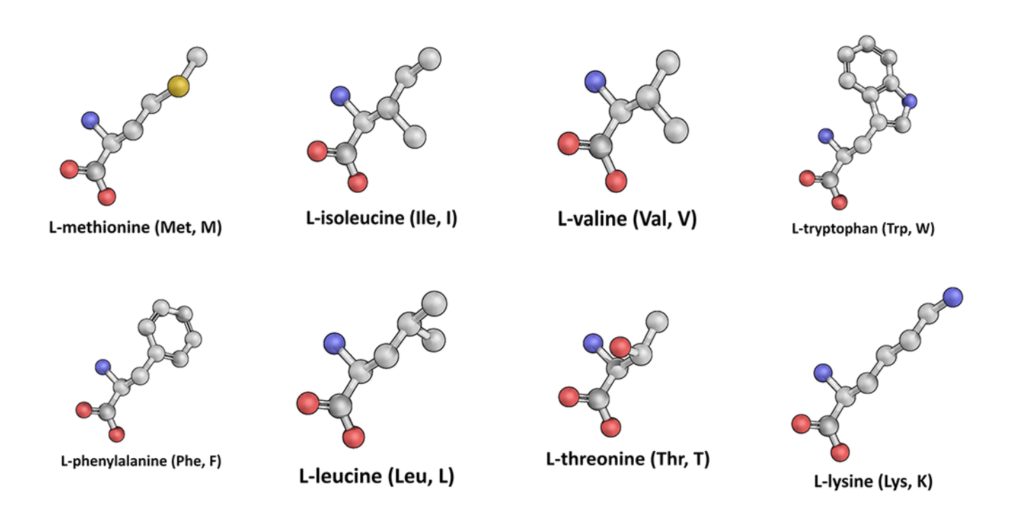 Advanced Amino Formula Review